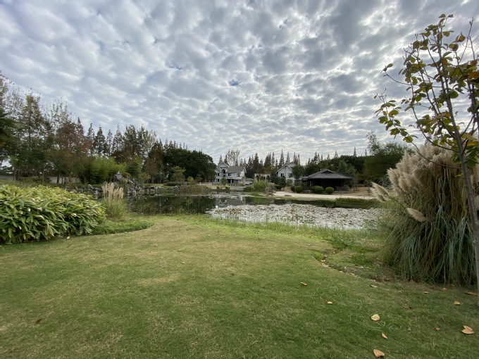 日式庭院2.jpg